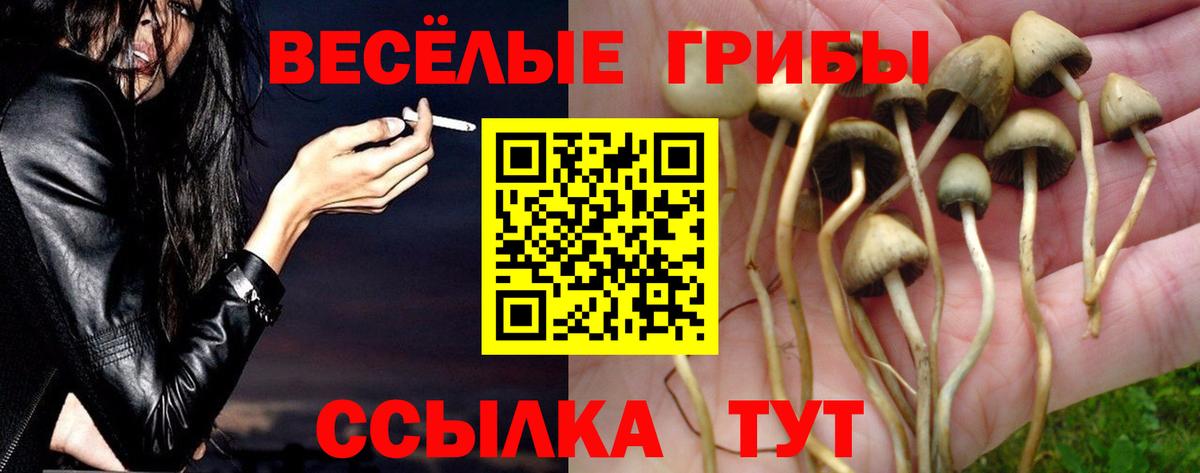 Ноябрьск  Галлюциногенные грибы GOLDEN TEACHER  где купить наркоту  Галлюциногенные грибы MAGIC MUSHROOMS  Вход с VPN 